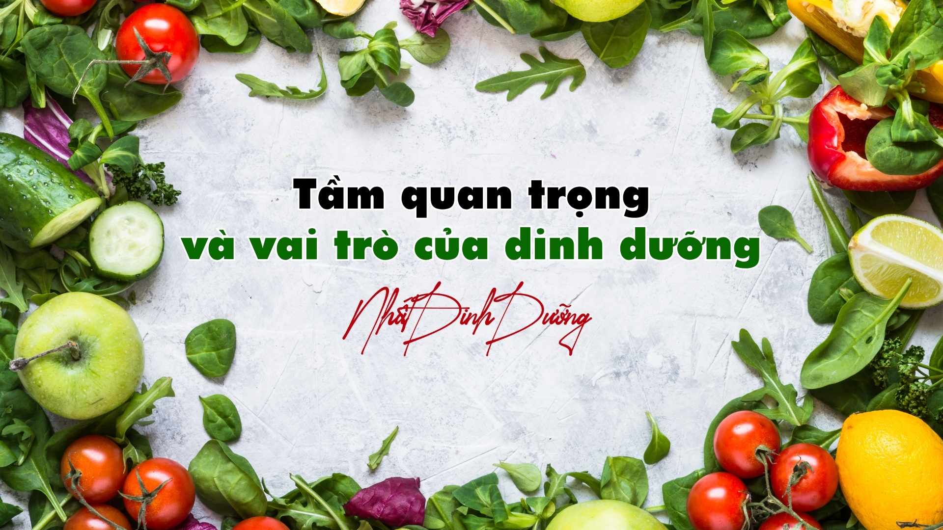 Tầm quan trọng và vai trò của dinh dưỡng Tầm quan trọng và vai trò của dinh dưỡng