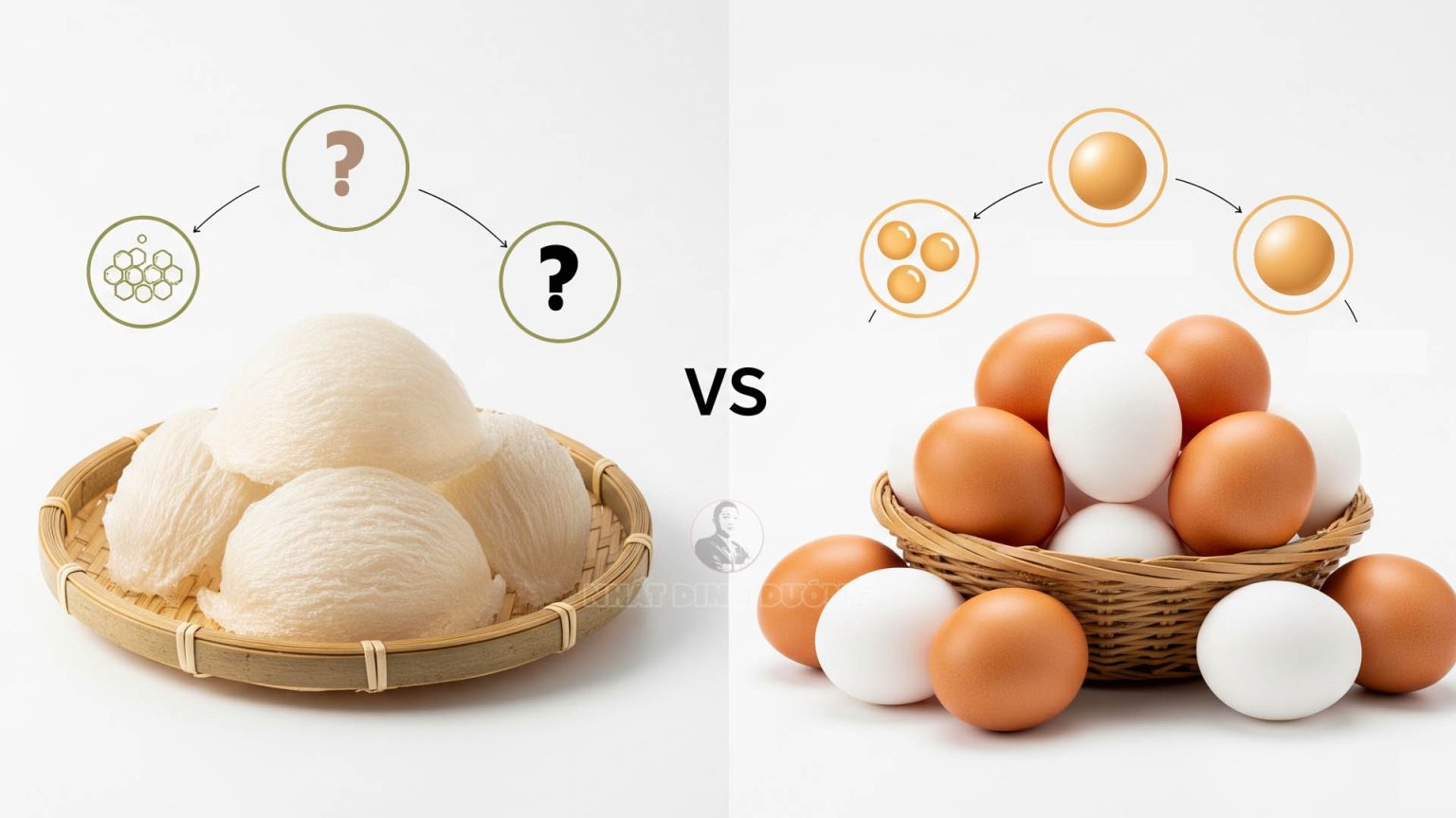 Tổ yến và trứng gà loại nào tốt hơn? Nhất Dinh Dưỡng Tổ yến và trứng gà loại nào tốt hơn? Nhất Dinh Dưỡng
